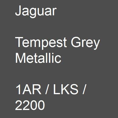 Jaguar, Tempest Grey Metallic, 1AR / LKS / 2200.
